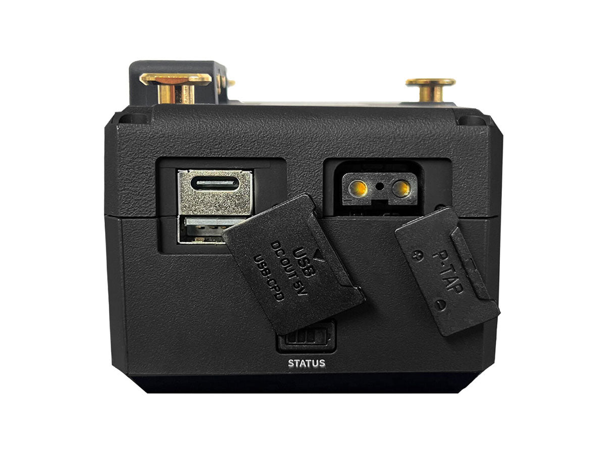 CoreSWX NANO X Micro 98 Series - Gold Mount