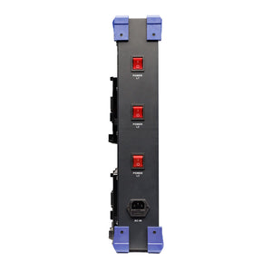 Fxlion 12 CH Bi-Voltage Wall Charger - V-Mount