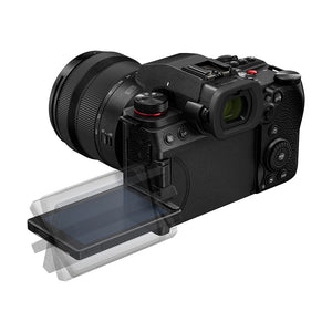 Panasonic LUMIX S5ii (with Lumix S 20-60mm F3.5-5.6)"