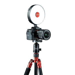 Rotolight NEO 3 - Ultimate Bundle