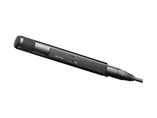 Sennheiser MKH-30 Microphone