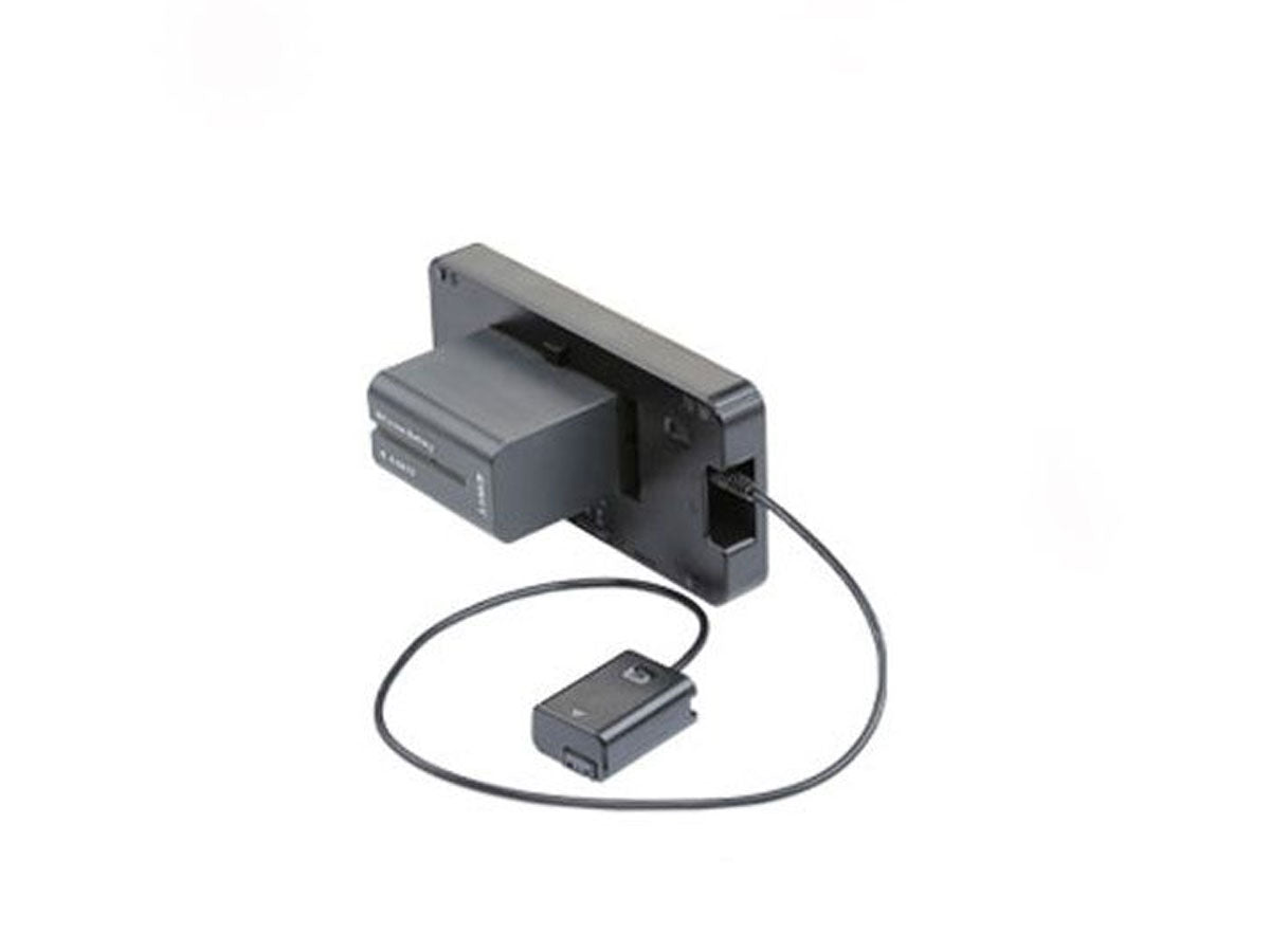 Swit MA-55C2 Kit 2 for Sony FZ-100 Dummy Battery & Micro to A HDMI Cable